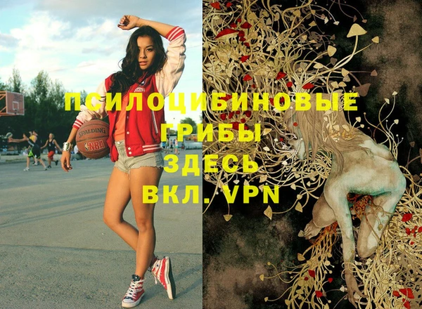 твердый Алексеевка