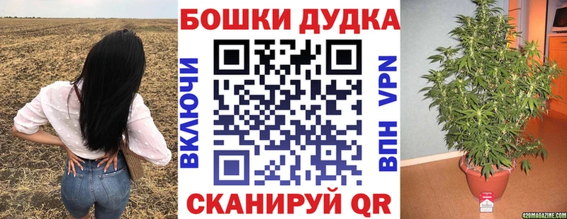 где можно купить   Арамиль  Канабис MAZAR 